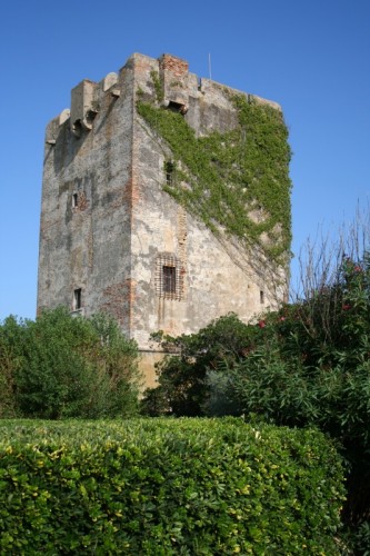 torre palidoro