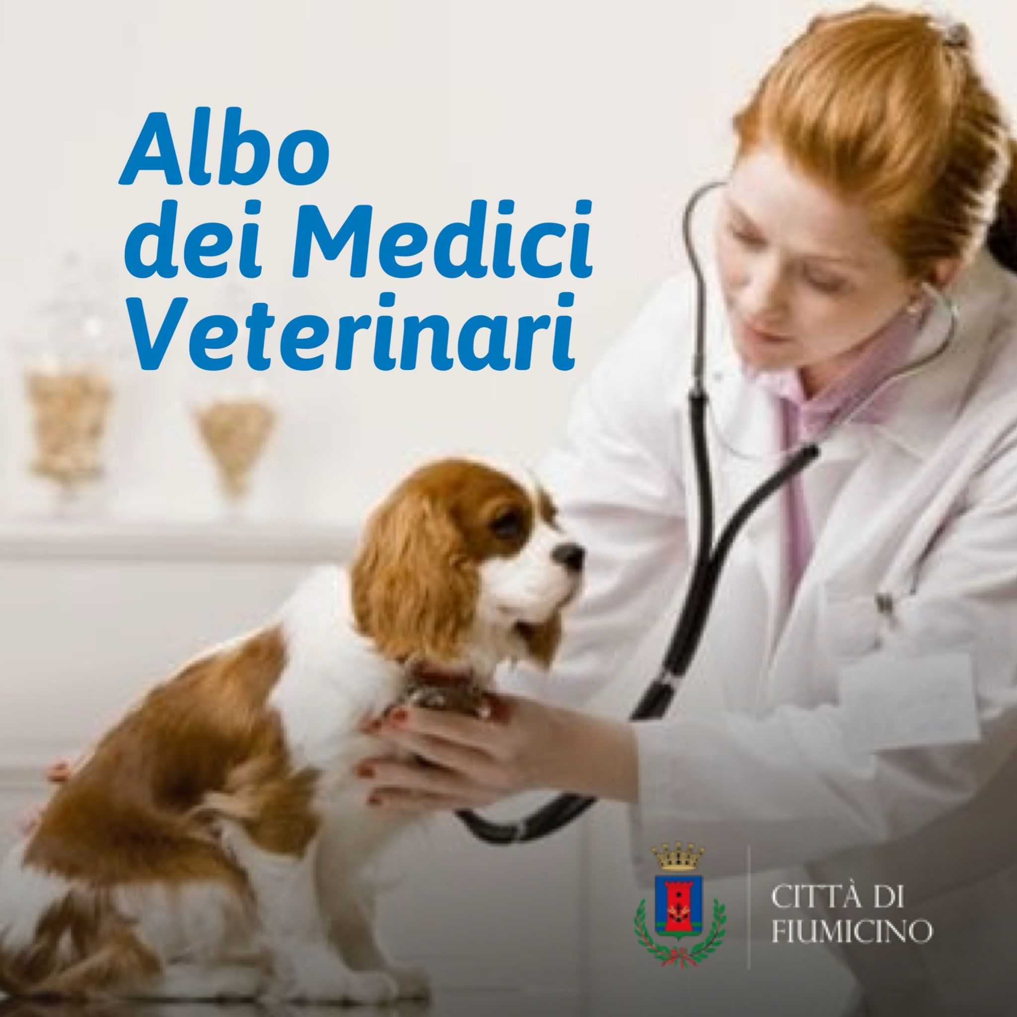 albo medici veterinari