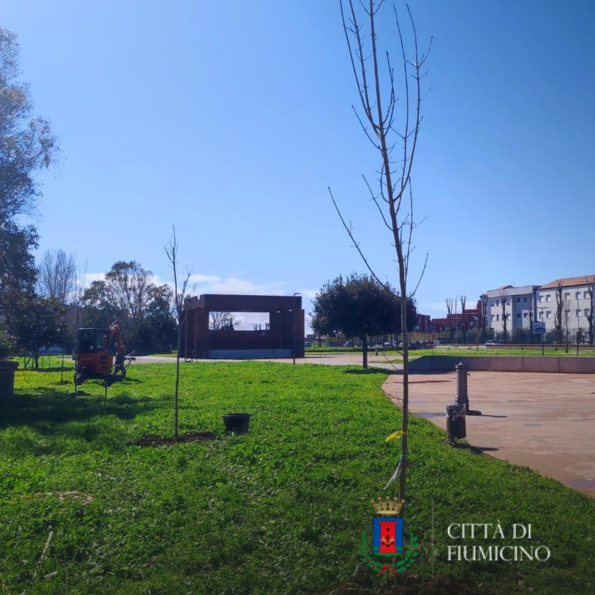 Inaugurata la messa a dimora di 100 alberi al "Parco Tommaso Forti"
