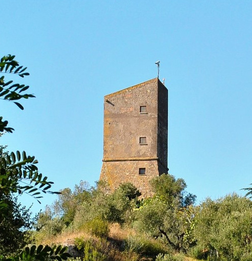 torre pagliaccetto
