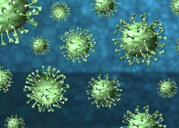 coronavirus corona virus covid 19 disease epidemic pathogen pandemic infection 122